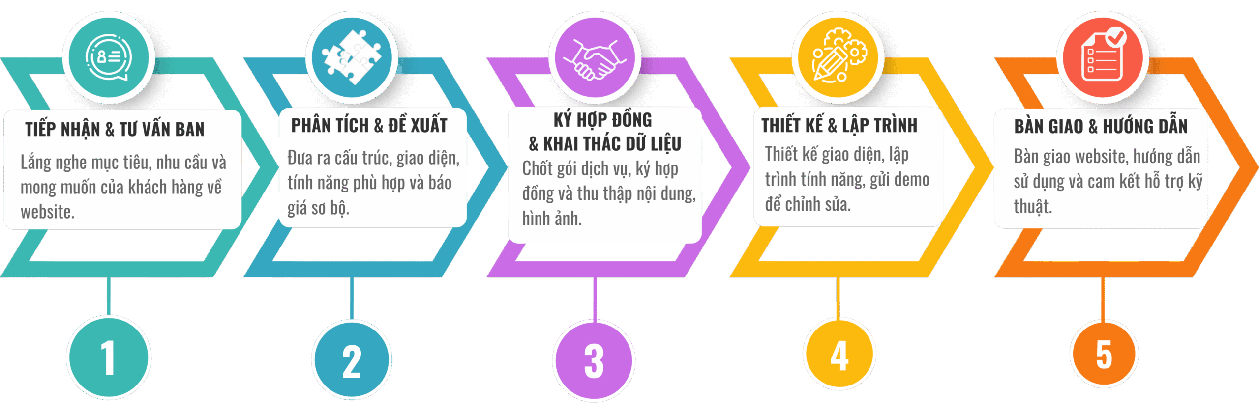 BnV MEDIA QUY TRINH DV website scaled